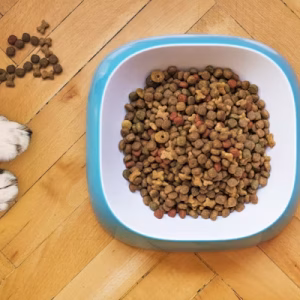 Grain-Free Salmon Dog Food