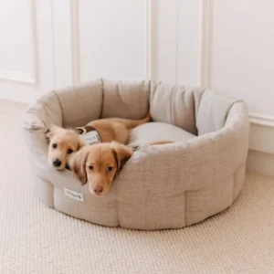 Dog Bedding