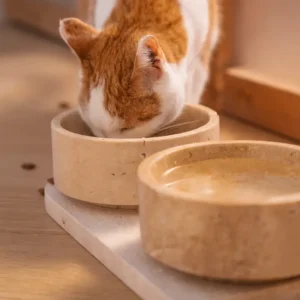 Dog & Cat Bowls