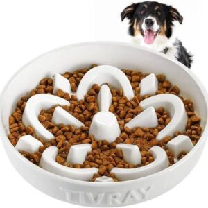 Slow Feeder Maze Dog Bowl for Fast Eaters