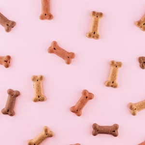 Dog Food