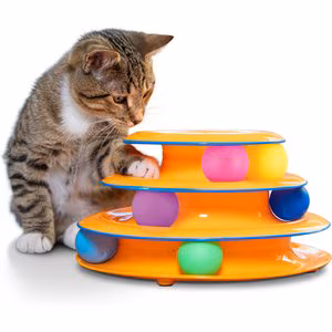 Cat Toys